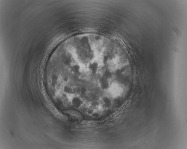 X0000112040145200908311243