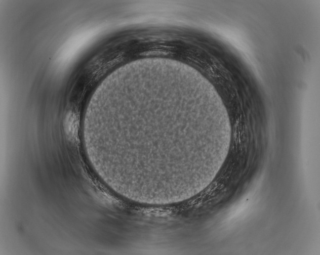 X0000112040146200908311243