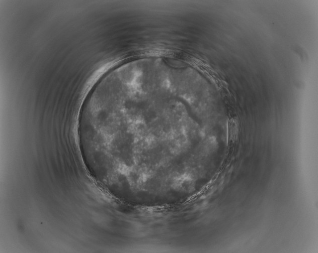X0000112040147200908311243