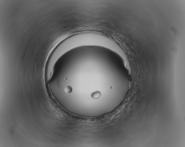 X0000112040148200908311243