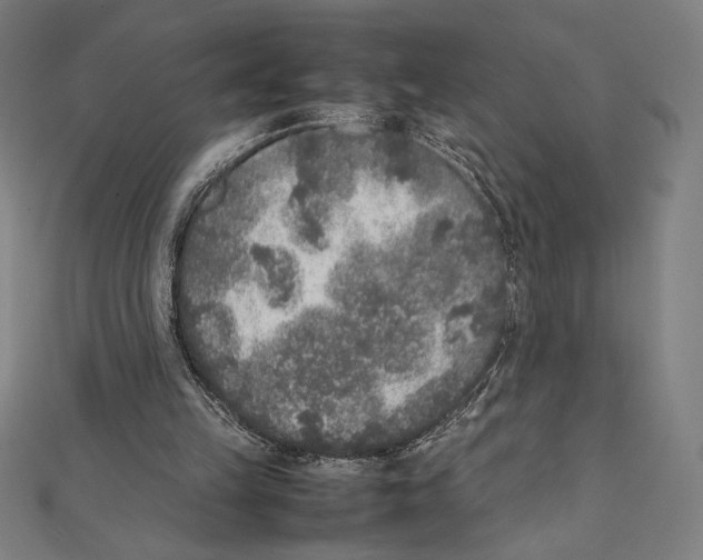 X0000112040149200908311243