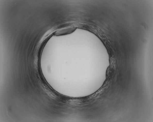 X0000112040150200908311243