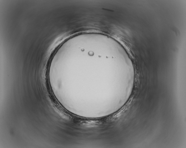 X0000112040151200908311243