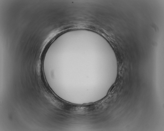 X0000112040152200908311243
