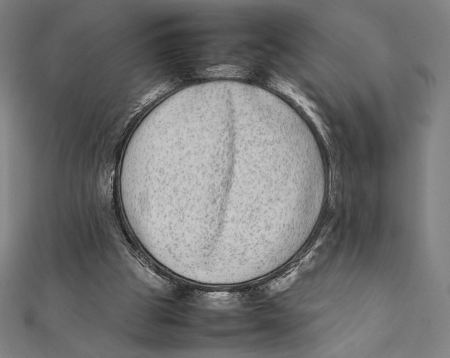 X0000112040153200908311243