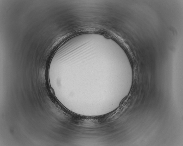 X0000112040154200908311243