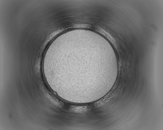 X0000112040155200908311243