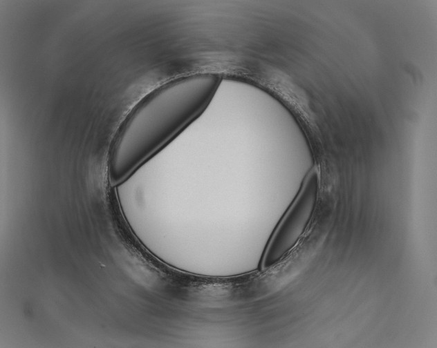 X0000112040156200908311243