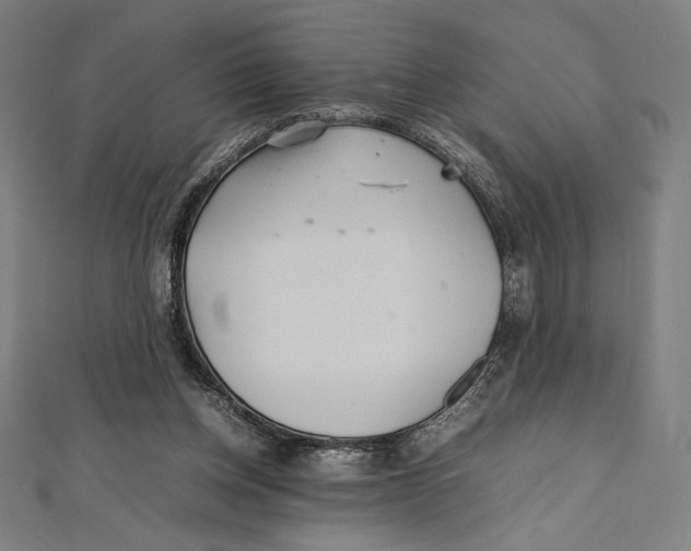 X0000112040158200908311243