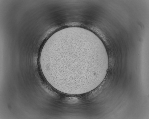 X0000112040159200908311243