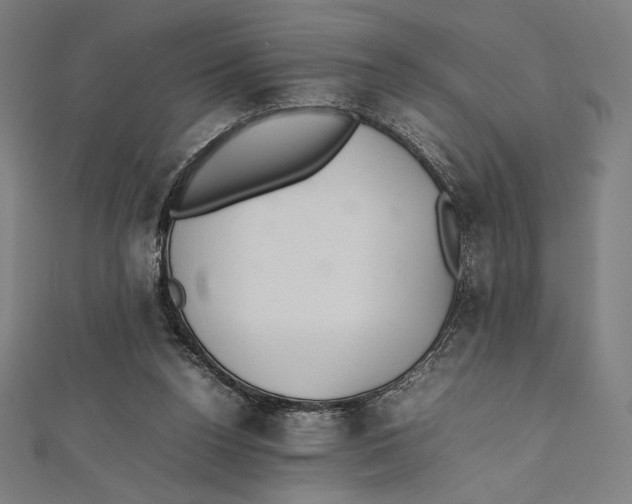 X0000112040160200908311243