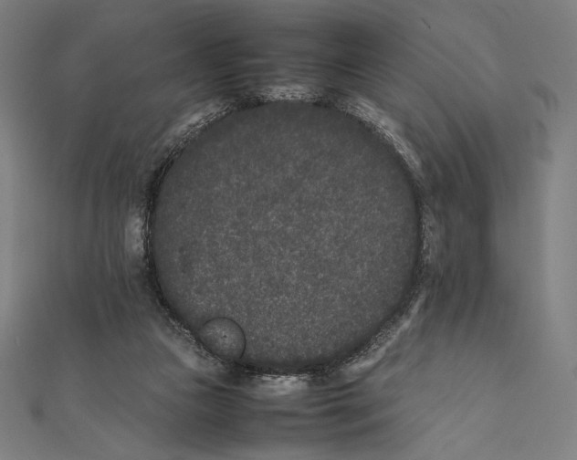 X0000112040161200908311243