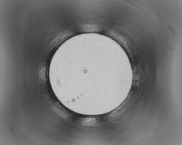 X0000112040162200908311243