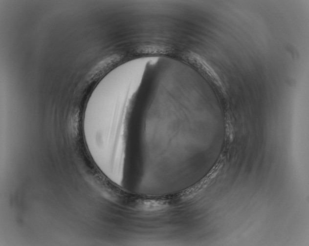 X0000112040163200908311243