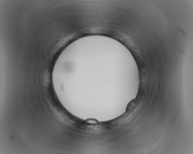 X0000112040164200908311243