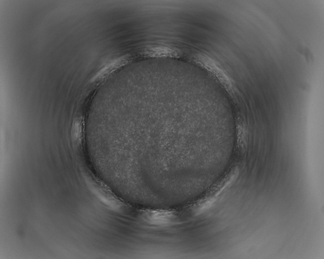 X0000112040165200908311243