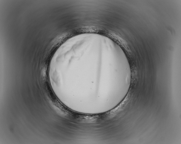 X0000112040166200908311243