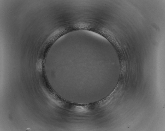 X0000112040167200908311243