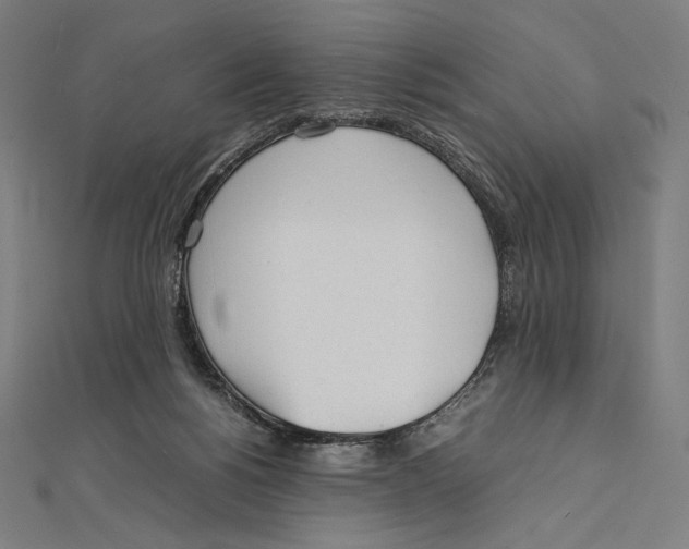 X0000112040168200908311243