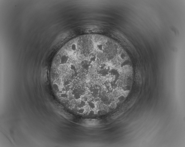 X0000112040169200908311243