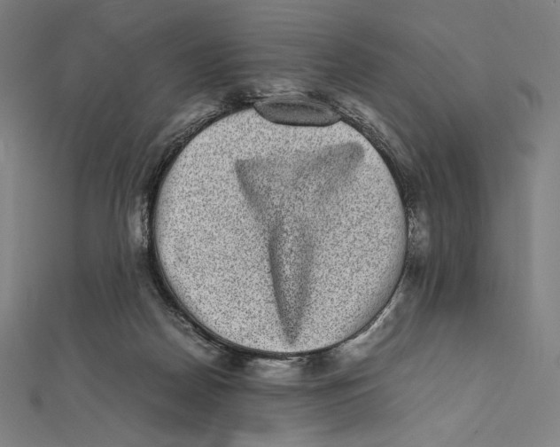X0000112040170200908311243