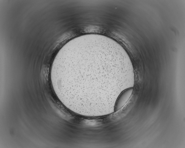 X0000112040171200908311243