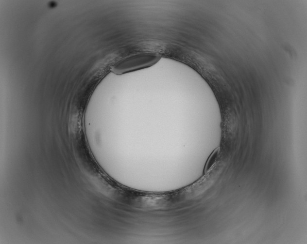 X0000112040172200908311243