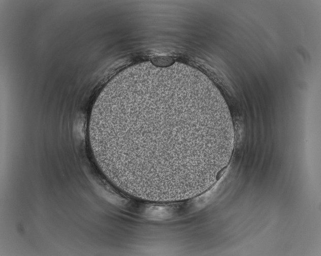 X0000112040174200908311243