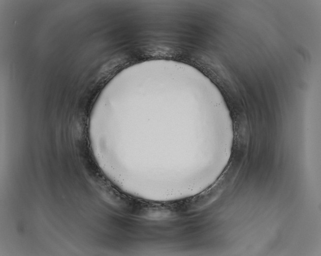 X0000112040175200908311243