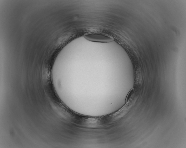 X0000112040176200908311243