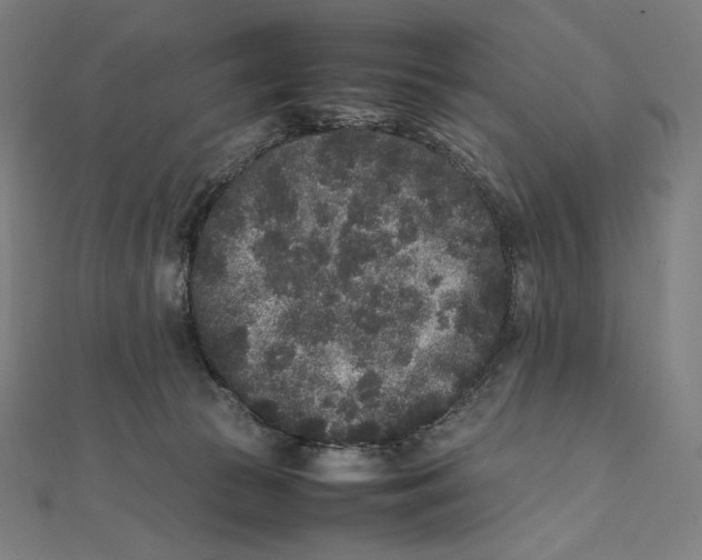 X0000112040177200908311243