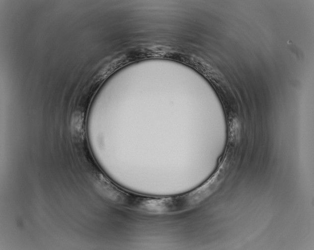 X0000112040178200908311243