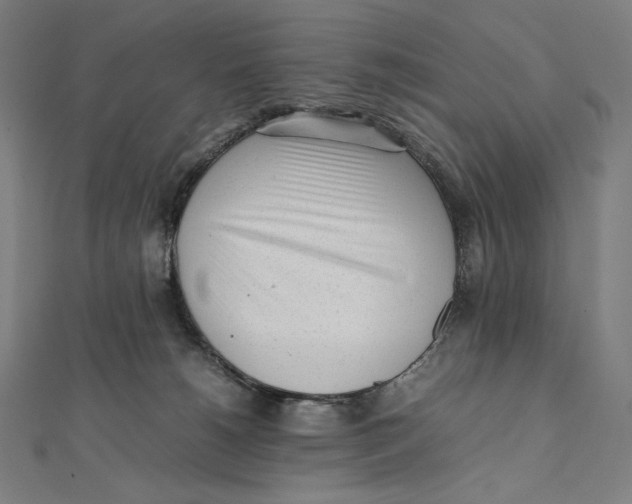 X0000112040180200908311243