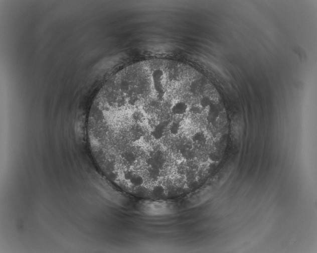 X0000112040181200908311243