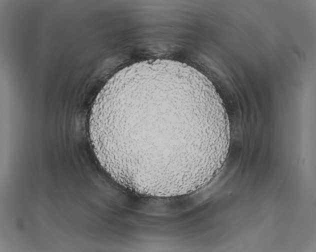 X0000112040182200908311243