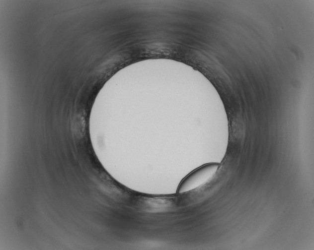 X0000112040183200908311243