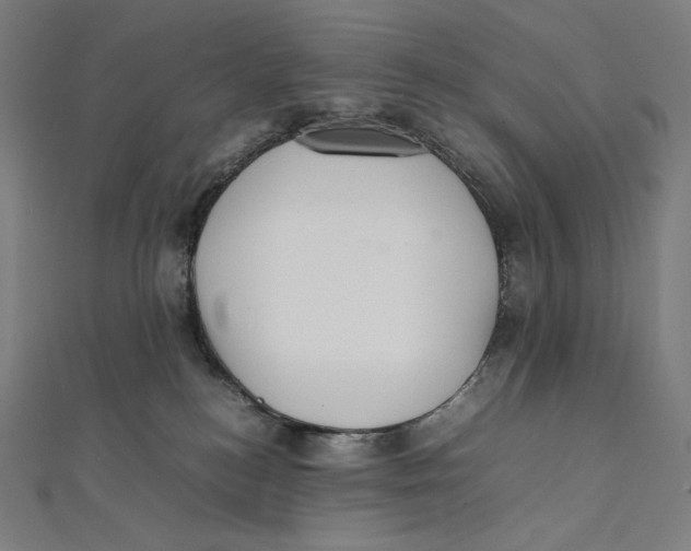 X0000112040184200908311243