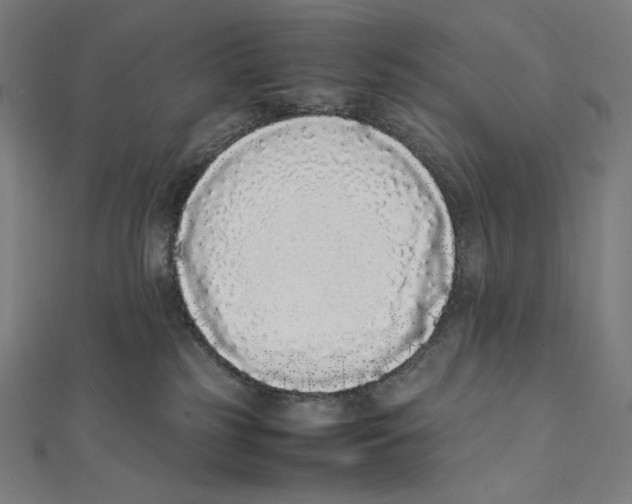 X0000112040185200908311244