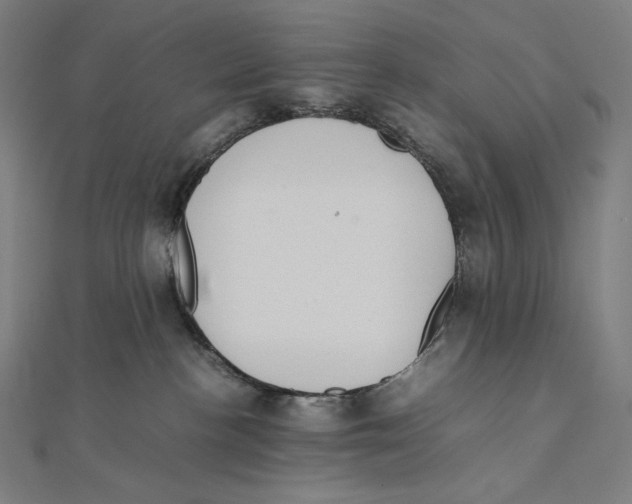 X0000112040188200908311244