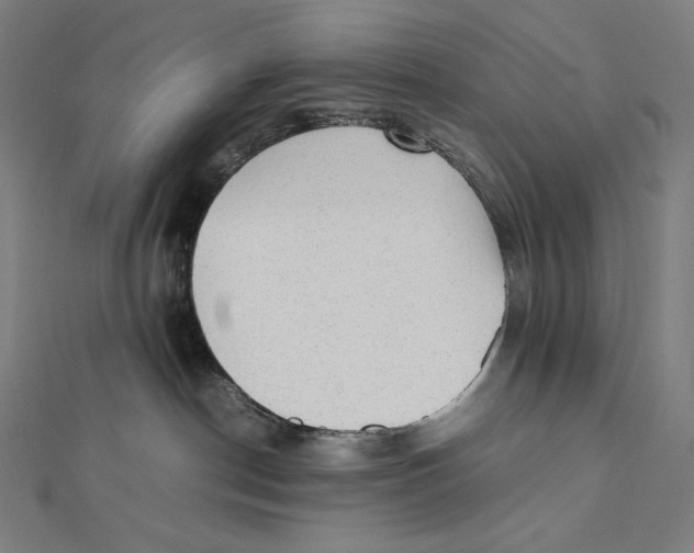 X0000112040190200908311244
