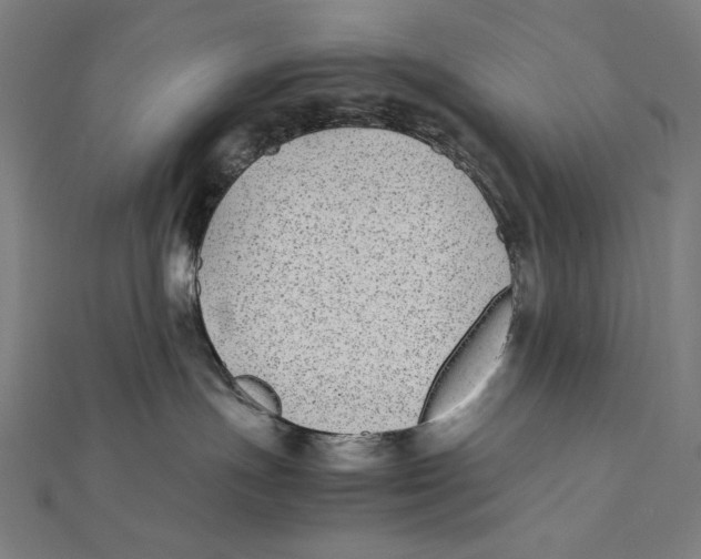 X0000112040191200908311244