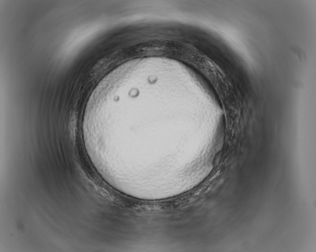 X0000112040194200908311243
