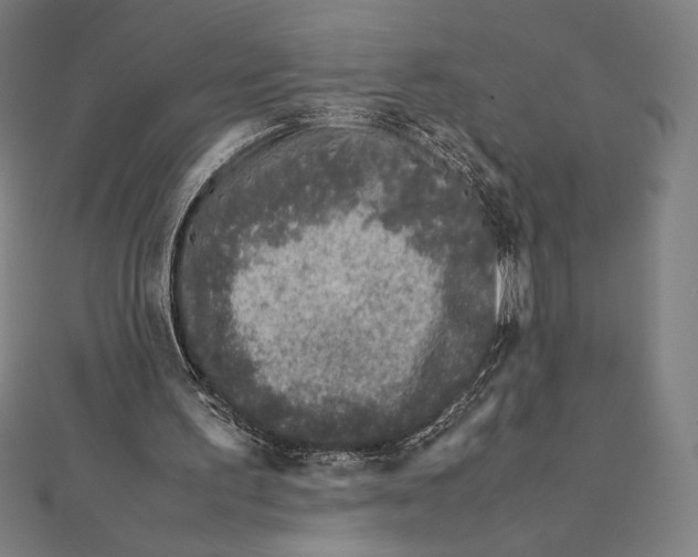 X0000112040195200908311243
