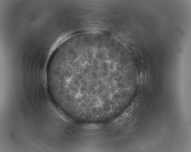X0000112040198200908311243