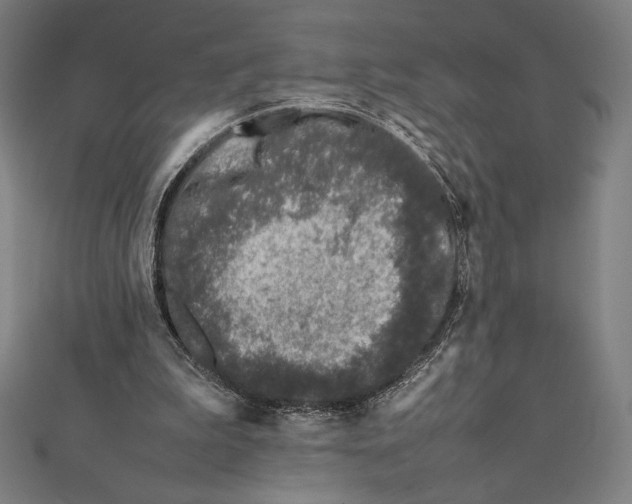 X0000112040199200908311243
