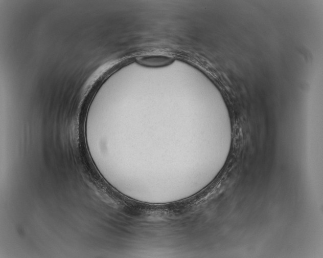 X0000112040200200908311243