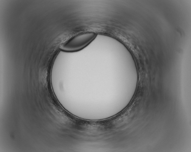 X0000112040201200908311243