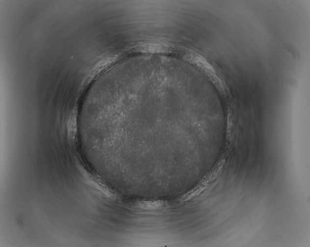 X0000112040202200908311243