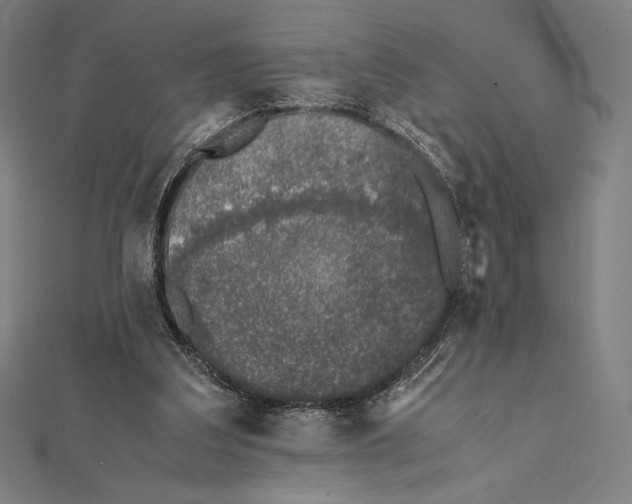 X0000112040203200908311243