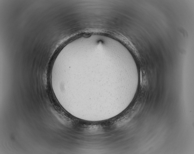 X0000112040204200908311243